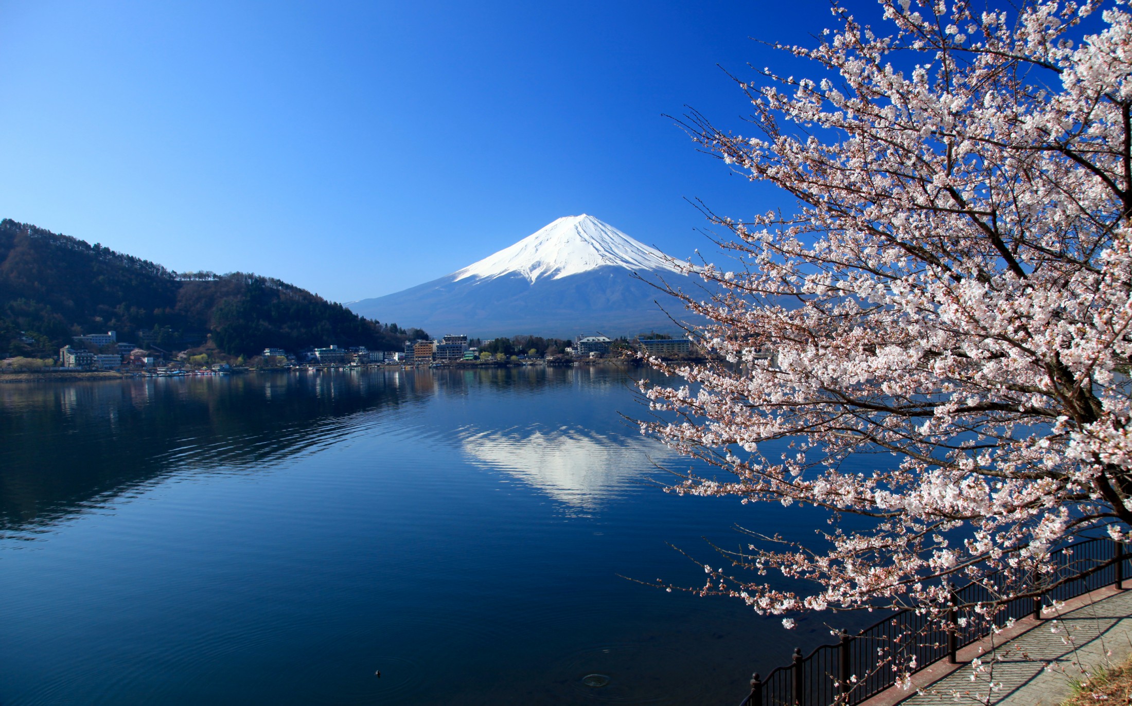 Japan Bracing for Impact: Unverified Seismic Event Sparks Global Concerns