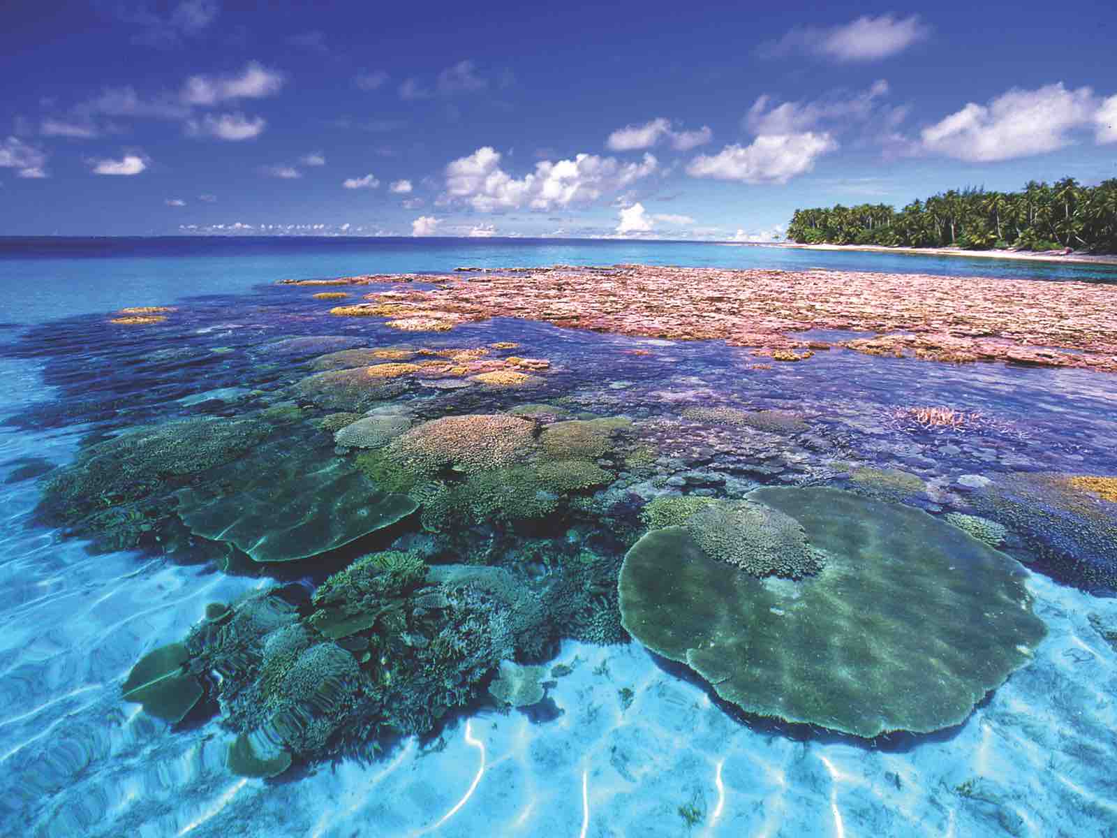 Breaking Silence: Marshall Islands' Absence from Local News Reflects Global Journalism's Digital Dilemma