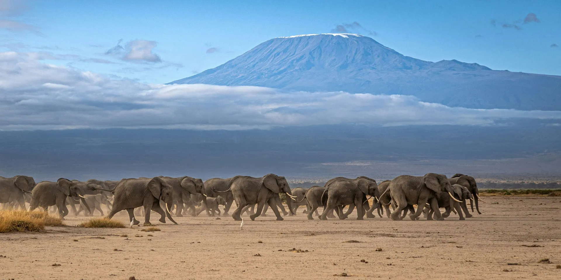 Tanzania Celebrates Spring Festival with Overseas Chinese Community