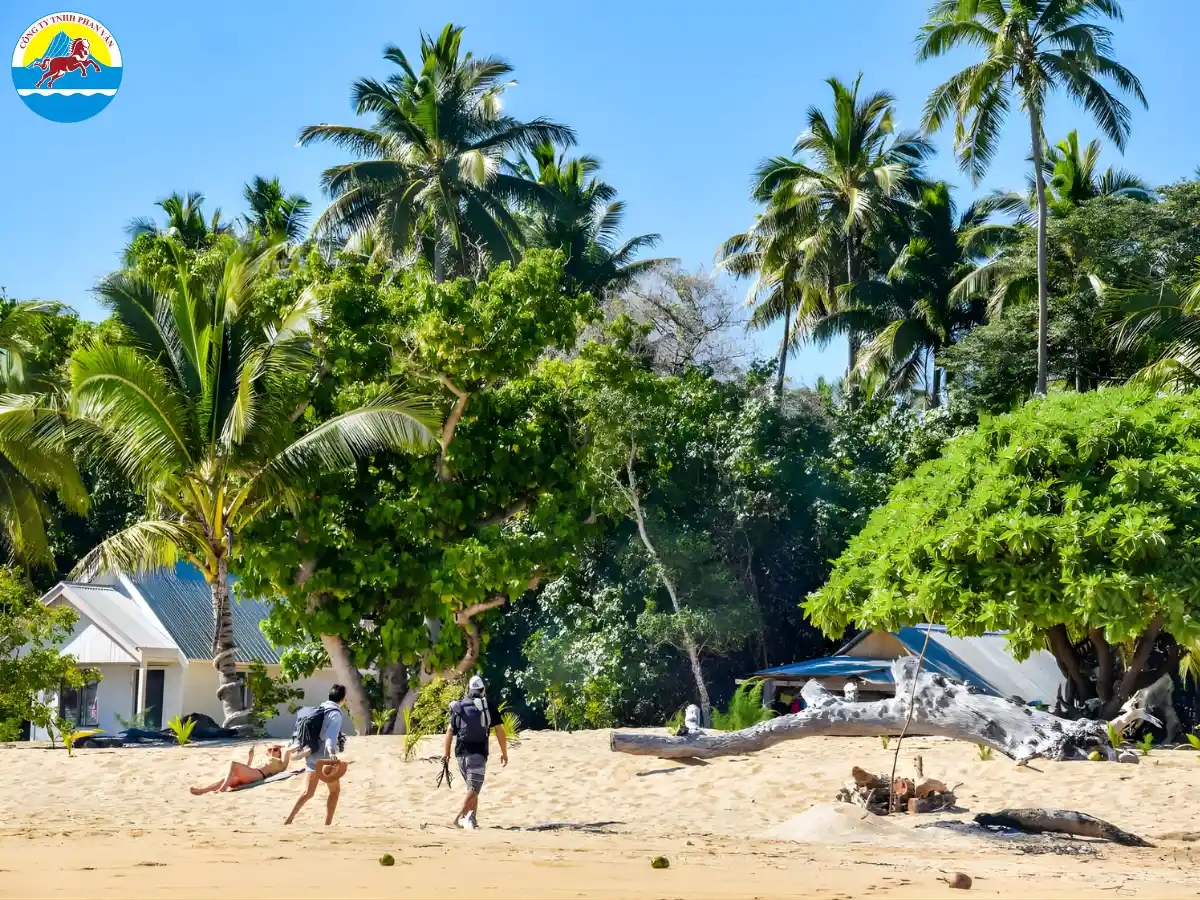 Tonga on Brink of Disaster as Pacific Island Nation Grapples with Worst Weather Woes in Years
